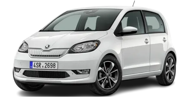 CitiGo-e